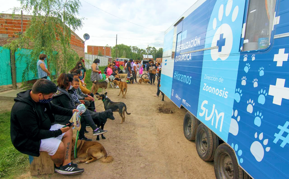 Zoonosis | Postergan nuevamente los operativos de castraciones en Alejandro Korn y Domselaar
