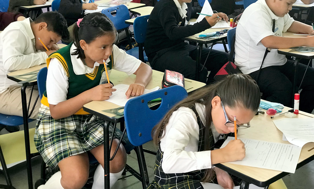 San Vicente | El Rotary entregará distinciones a los mejores compañeros de sexto grado de las escuelas primarias