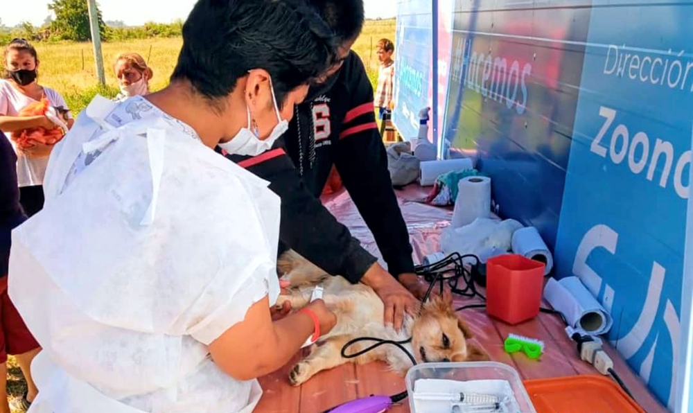 Zoonosis | Jornada de salud, conmemorando el Día del Animal en la Vieja Estación