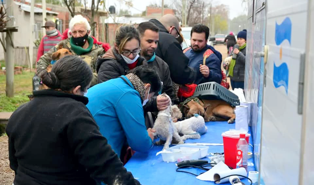 Zoonosis | El Municipio realizará un operativo gratuito de castraciones en el barrio Parque Ibáñez