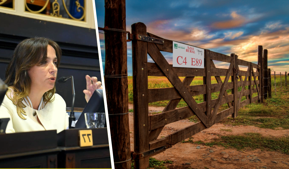 Provincia | Diputados bonaerenses dio media sanción al proyecto SOS Rural nacido en San Vicente