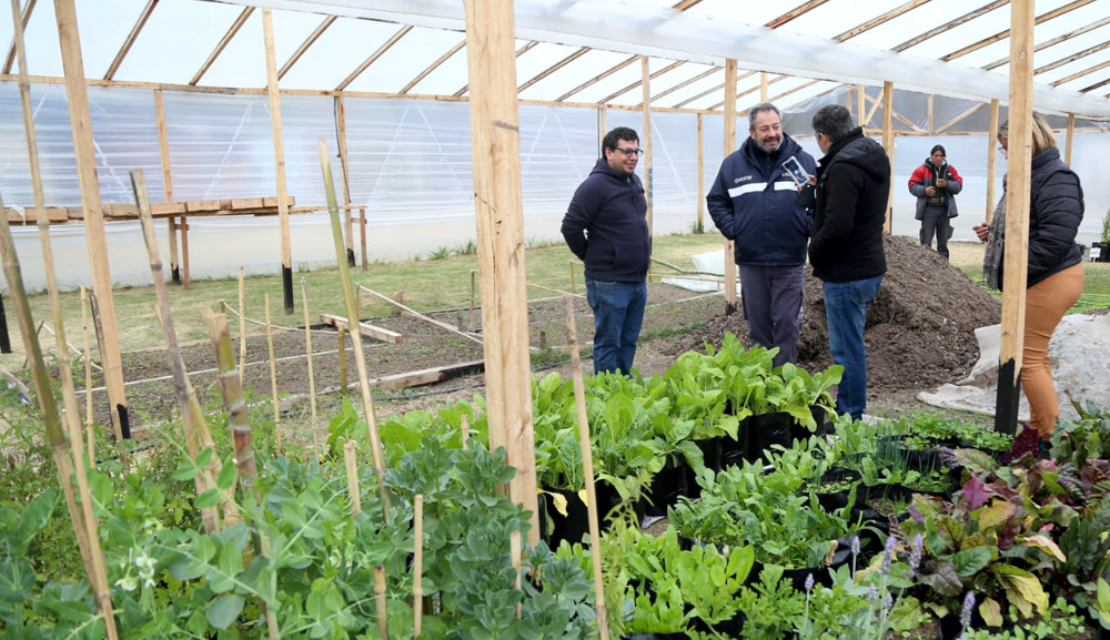 Presidente Perón | ACUMAR destacó el avance del vivero municipal del barrio Copenhague