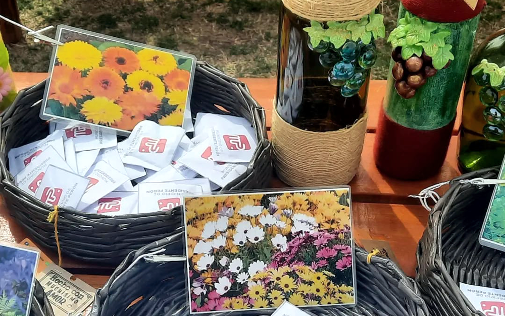 Presidente Perón | Germinarte: primera feria verde para potenciar saberes y emprendimientos agrícolas