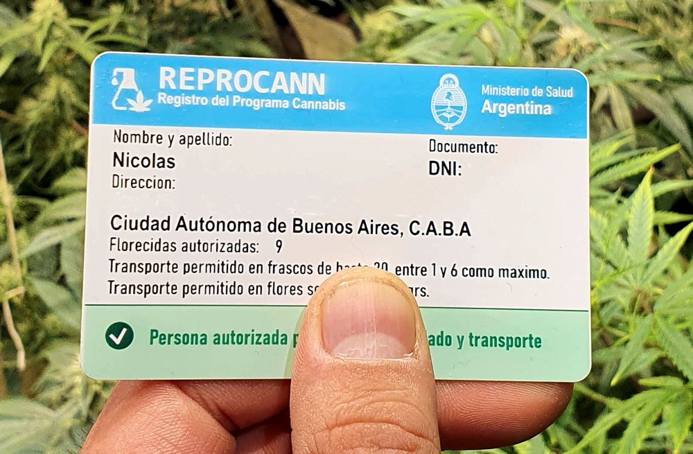 Nación | Salud amplió a tres años la autorización para el cultivo de cannabis y agilizó su tramitación