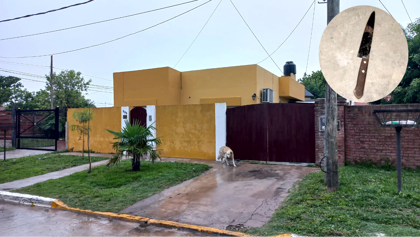 San Vicente | Un joven asesinó a una mujer e hirió a dos más con una cuchilla