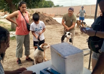 Presidente Perón | El Municipio realizó jornada de vacunación antirrábica en Numancia Norte