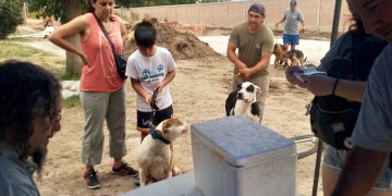 Presidente Perón | El Municipio realizó jornada de vacunación antirrábica en Numancia Norte