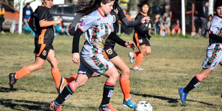 Fútbol | Sortearon el fixture del Apertura de los torneos Femenino y Senior +40 de la Metro