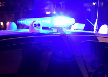 Alejandro Korn | Nueve detenido por vender drogas en el “Campito de los Paisa”, en La Esperanza