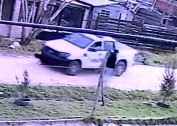 Alejandro Korn | Denuncian a un policía por maltrato y crueldad animal