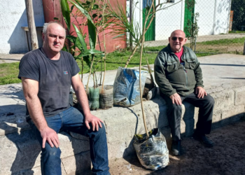 San Vicente | Bajo la consigna «Verde es vida» se realizó entrega de árboles a entidades del distrito