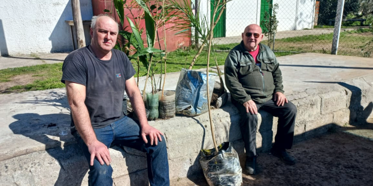 San Vicente | Bajo la consigna «Verde es vida» se realizó entrega de árboles a entidades del distrito