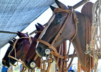 Fiestas populares | Se viene la segunda edición de la Fiesta del Chasqui y las Comunicaciones