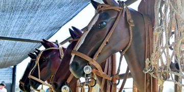 Fiestas populares | Se viene la segunda edición de la Fiesta del Chasqui y las Comunicaciones