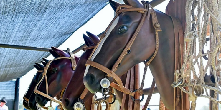 Fiestas populares | Se viene la segunda edición de la Fiesta del Chasqui y las Comunicaciones