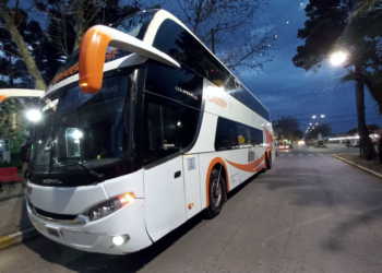 Juegos Bonaerenses | Nuevo récord de finalistas para San Vicente, en las finales de Mar del Plata