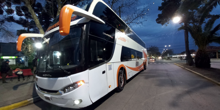 Juegos Bonaerenses | Nuevo récord de finalistas para San Vicente, en las finales de Mar del Plata