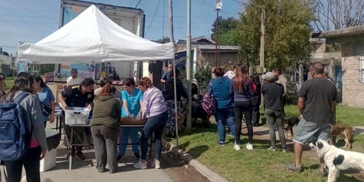 Zoonosis | Con total éxito se realizó operativo de salud animal en Las Lomas de Guernica