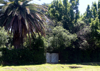 Provinciales | La Legislatura bonaerense dio media sanción a la expropiación de la casa de Rodolfo Walsh