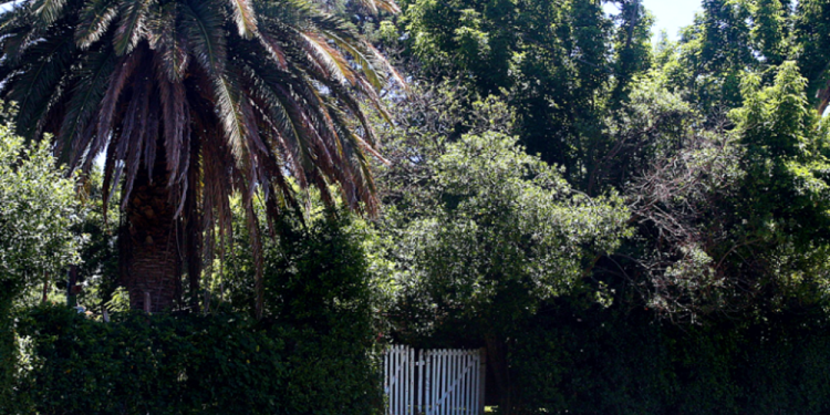 Provinciales | La Legislatura bonaerense dio media sanción a la expropiación de la casa de Rodolfo Walsh