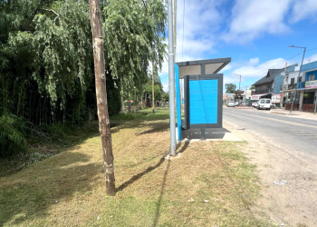 Servicios | El Municipio avanza en tareas de arreglo de calles y cortes de pasto en la vía pública