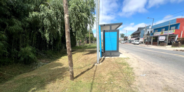 Servicios | El Municipio avanza en tareas de arreglo de calles y cortes de pasto en la vía pública