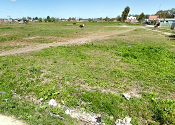 Alejandro Korn | Intentan usurpar terrenos en Los Naranjos y terminaron todos detenidos