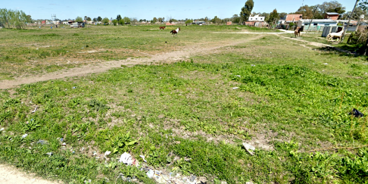 Alejandro Korn | Intentan usurpar terrenos en Los Naranjos y terminaron todos detenidos