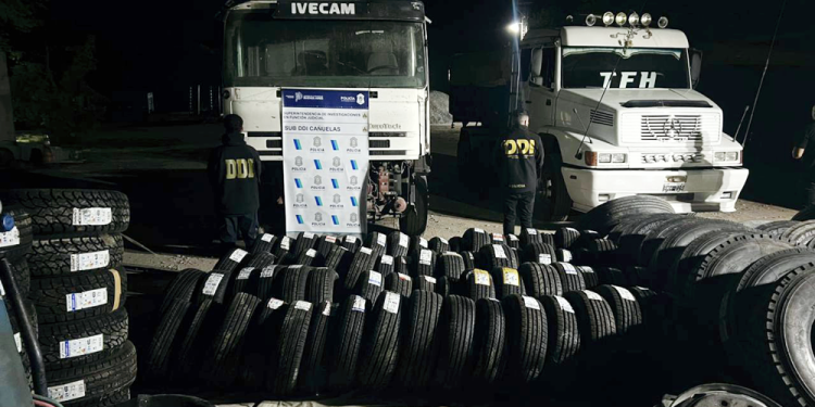 Policiales | Desbaratan una banda de piratas del asfalto: dos detenidos en Domselaar