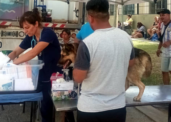 Zoonosis | Realizaron exitosa campaña de castraciones en el barrio Parque Americano