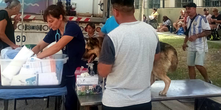 Zoonosis | Realizaron exitosa campaña de castraciones en el barrio Parque Americano