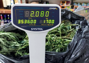 Presidente Perón | Lo detienen tras robo a una mujer y le secuestran marihuana