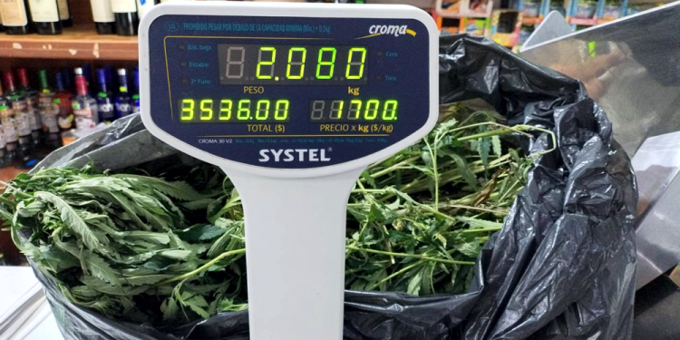 Presidente Perón | Lo detienen tras robo a una mujer y le secuestran marihuana