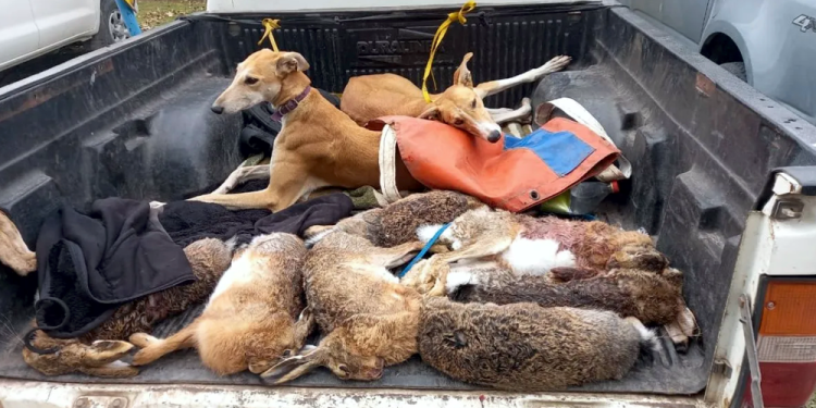 San Vicente | Para Zatloukal hay que hacer algo con la caza furtiva en la zona rural