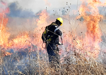 Incendios rurales | La necesidad de un destacamento rural de Bomberos, y un plan de manejo de fuego