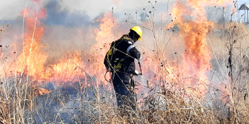 Incendios rurales | La necesidad de un destacamento rural de Bomberos, y un plan de manejo de fuego