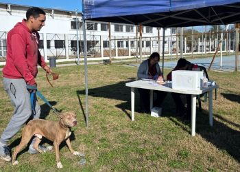 Presidente Perón | Realizaron un operativo de Zoonosis en el barrio Parque Americano