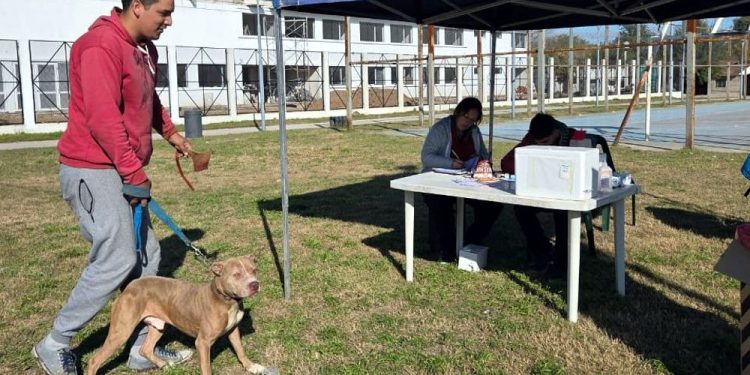 Presidente Perón | Realizaron un operativo de Zoonosis en el barrio Parque Americano