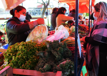 Presidente Perón | Realizarán otra edición de la Feria Soberana de la UNLZ en la plaza Belgrano