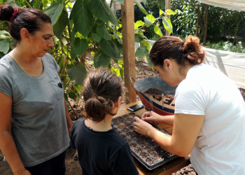 Guernica: La UNLZ realizará el tercer encuentro sobre huerta agroecológica comunitaria