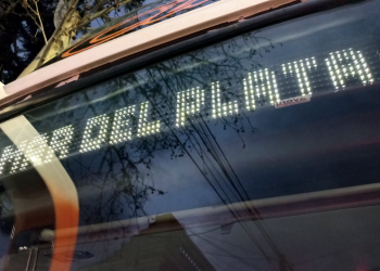 Juegos Bonaerenses | San Vicente clasificó a 150 finalistas para las finales en Mar del Plata