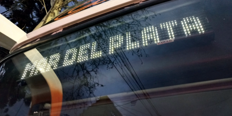 Juegos Bonaerenses | San Vicente clasificó a 150 finalistas para las finales en Mar del Plata