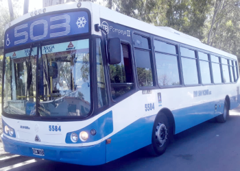 Alejandro Korn | La línea 503 de colectivos inauguró un nuevo ramal hasta el barrio Los Naranjos