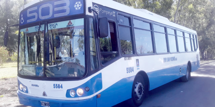 Alejandro Korn | La línea 503 de colectivos inauguró un nuevo ramal hasta el barrio Los Naranjos