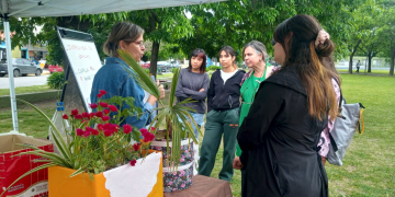 Presidente Perón | Este viernes, nueva edición de la Feria Soberana en plaza Belgrano