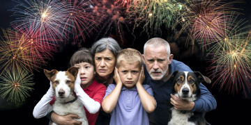 Sin estruendos | Tenemos que tener un compromiso con la empatía y la legalidad