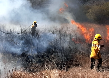 Verano y sequía: Guía práctica para prevenir incendios de pastizales en la región