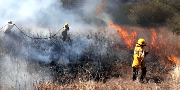 Verano y sequía: Guía práctica para prevenir incendios de pastizales en la región