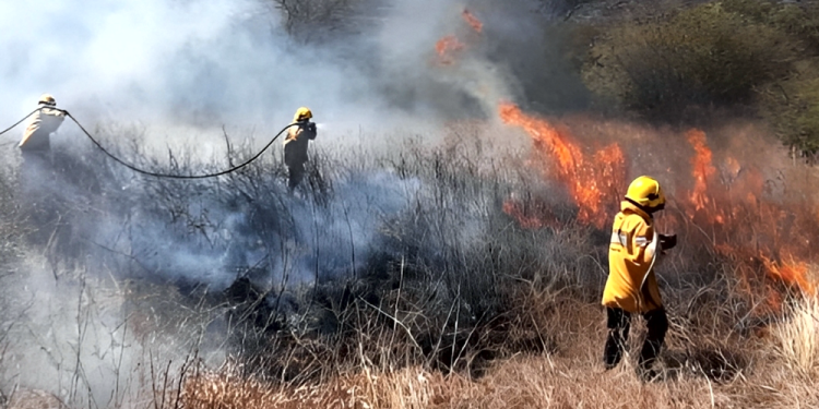 Verano y sequía: Guía práctica para prevenir incendios de pastizales en la región