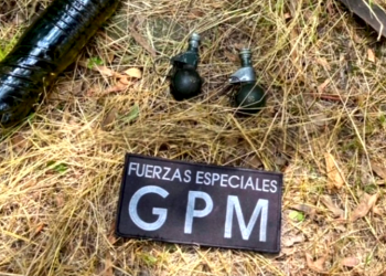 Región | Terror en Ezeiza: Frustran un plan para hacer explotar un gasoducto en la zona de los bosques
